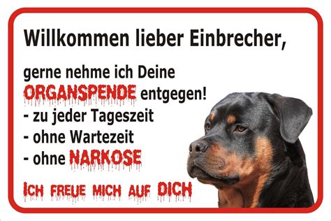 porn hund|Der Tag, an dem mich unser Rottweiler nahm – readbeast